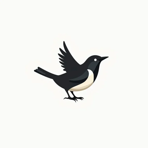 Bird Watching Company